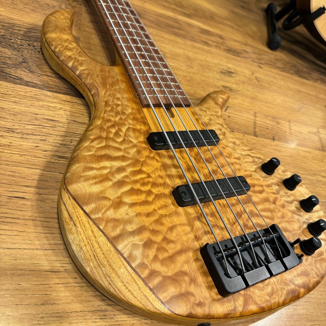 Elrick Evolution Gold Series 5-Strings Hand-Curved Bass Quilted Maple Top - Image 3