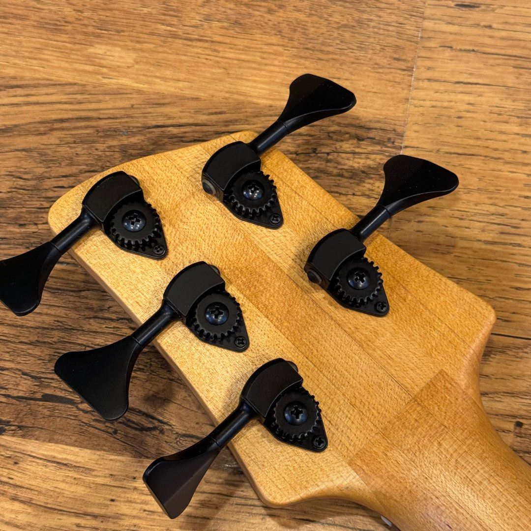 Elrick Evolution Gold Series 5-Strings Hand-Curved Bass Quilted Maple Top - Image 9