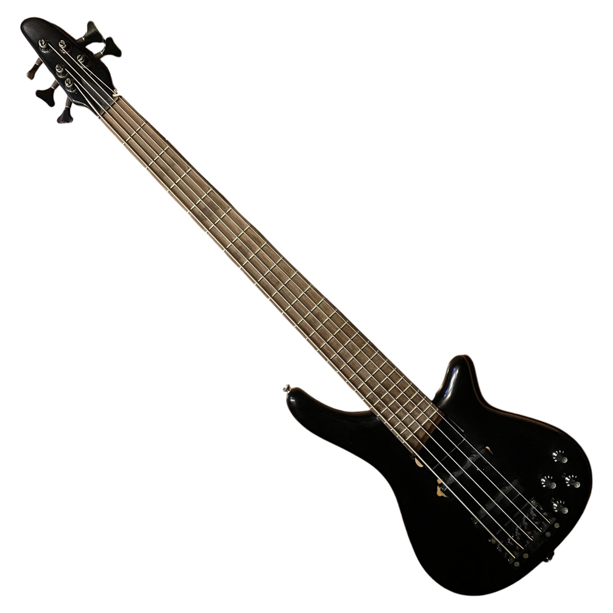 Bass Collection 5 String Bass - Image 2