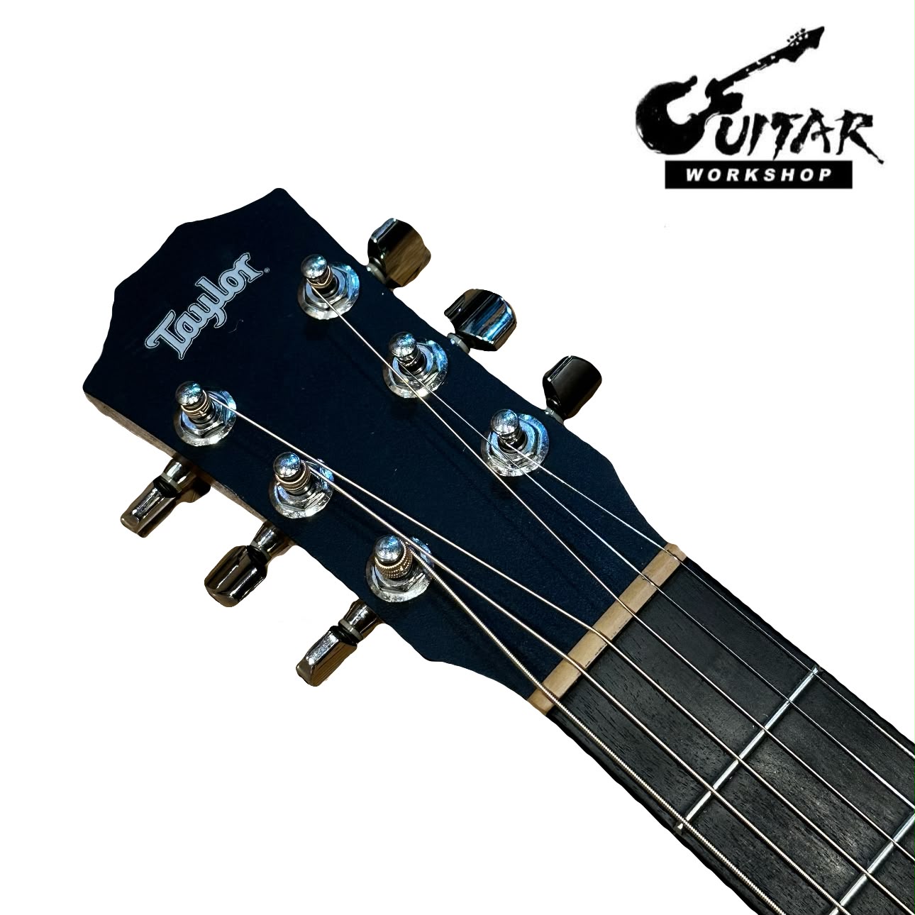 Taylor 301-m