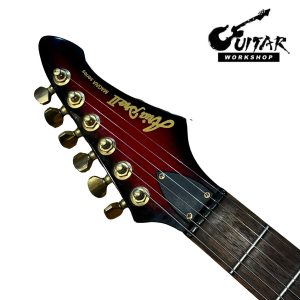 Aria Pro II Magna Series MA-28G